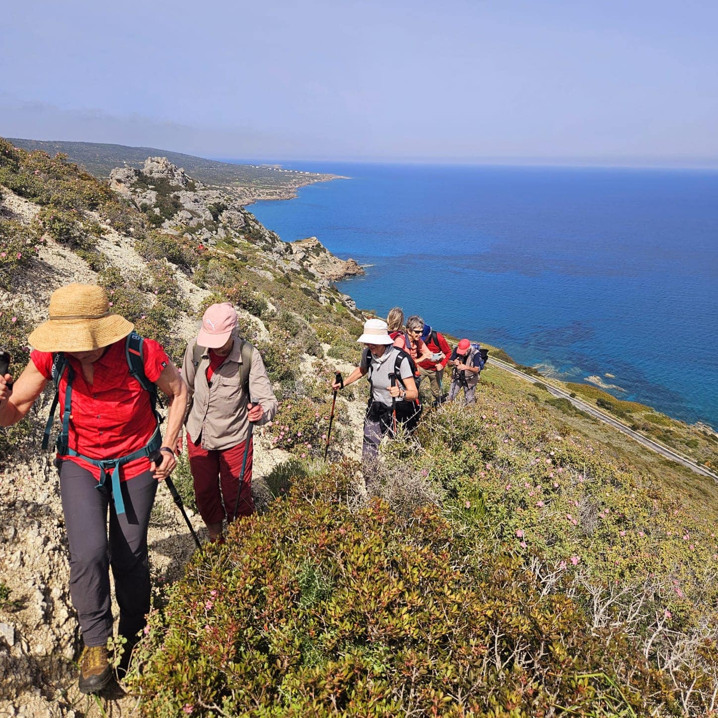 Hiking Tours